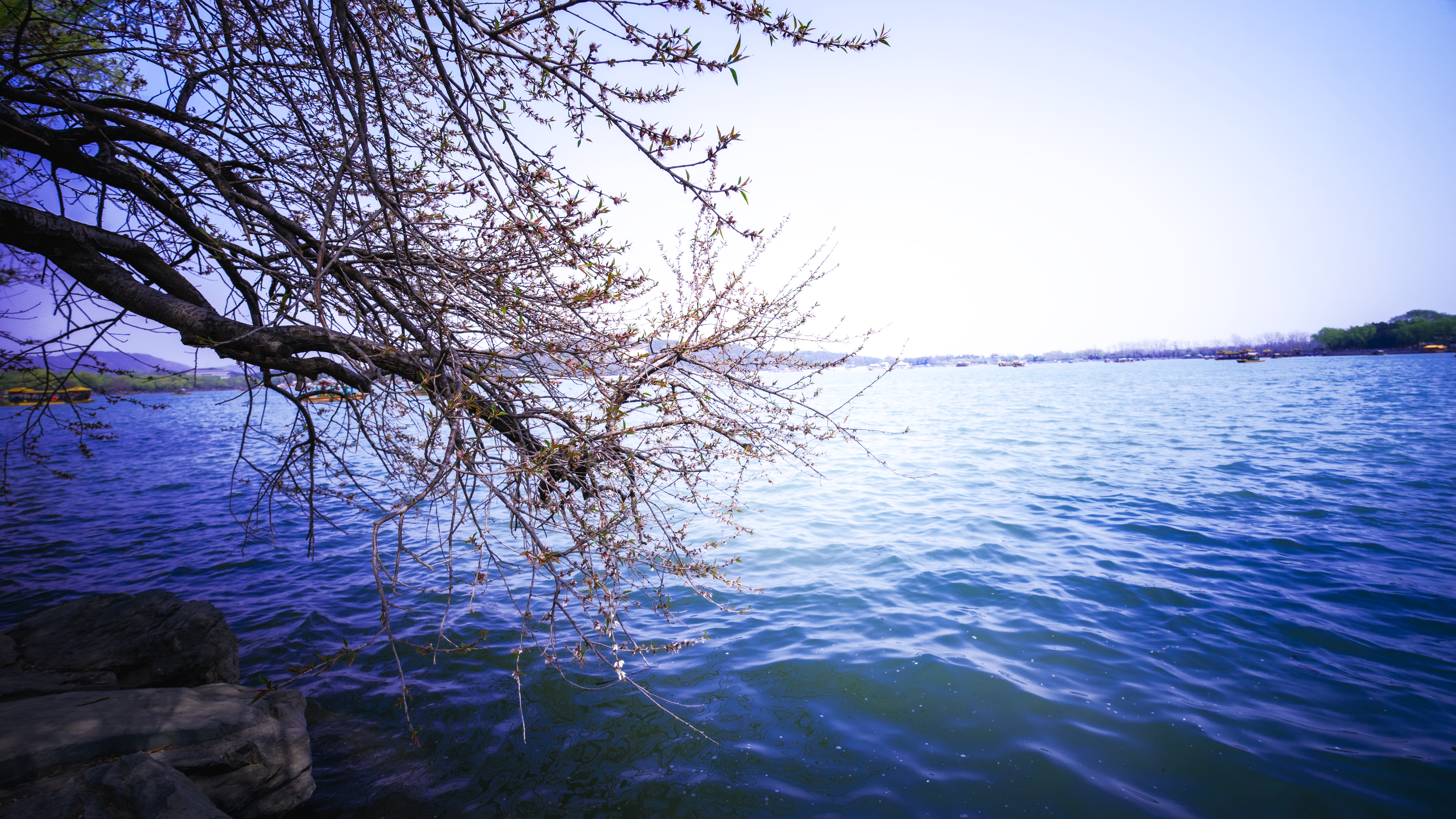 荒岛上的第一次黎明